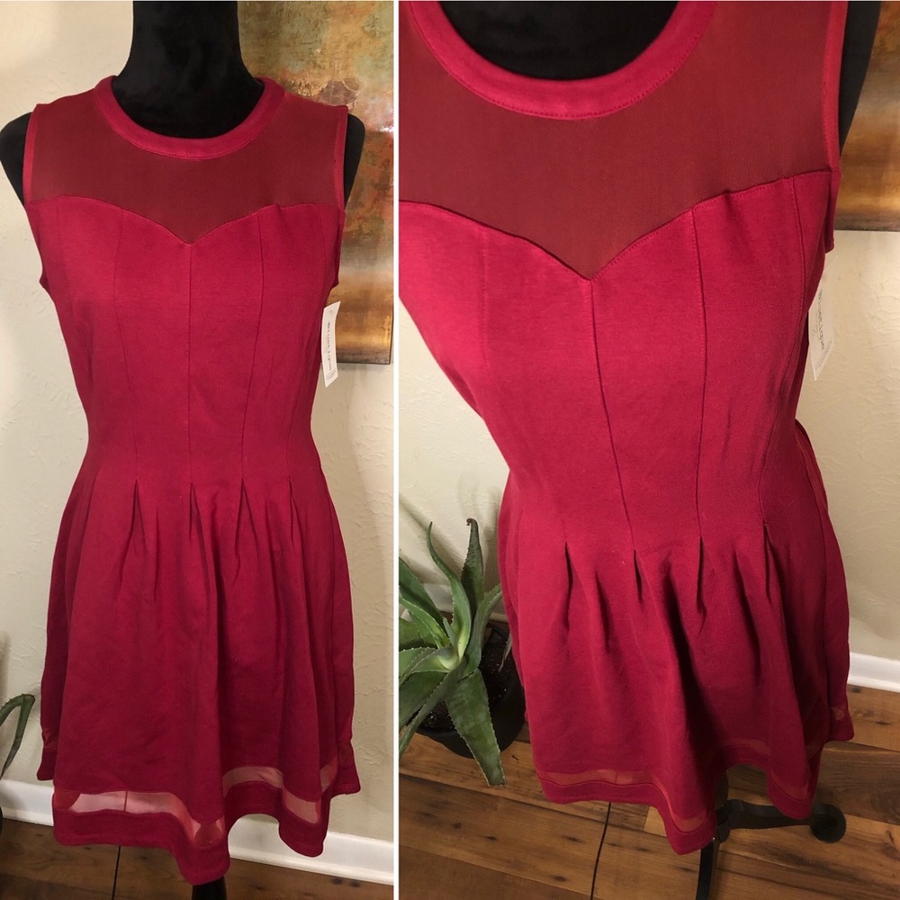 Monteau Burgundy Fit & Flare Pleated Mesh Dress